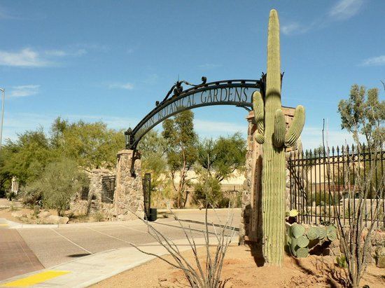 Tucson Botanisk Have